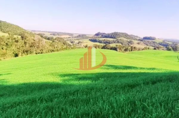 VENDE-SE PROPRIEDADE RURAL Á 18KM DA CIDADE DE PATO BRANCO! - Foto 10
