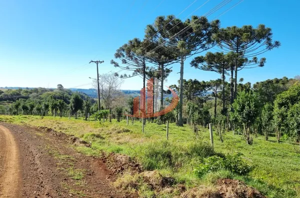 CHÁCARA COM 5 HECTARES PRÓXIMO A PATO BRANCO - Foto 7