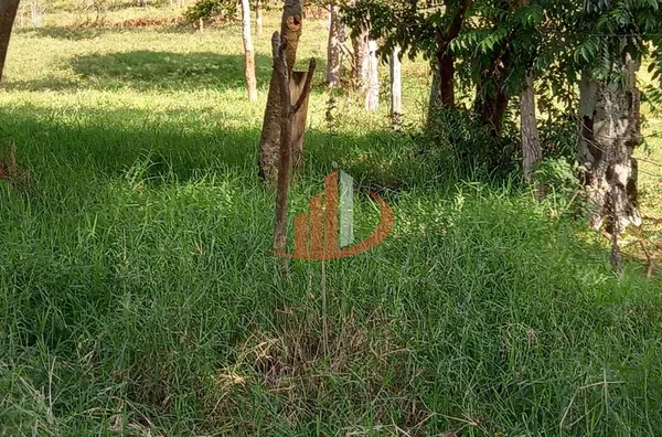 CHÁCARA COM 2,5 ALQUEIRES À VENDA EM VITORINO/PR - Foto 50