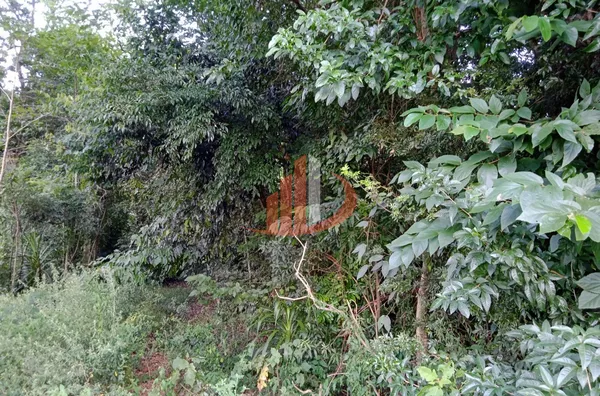 CHÁCARA COM 6751m² EM BOM SUCESSO DO SUL/PR - Foto 15