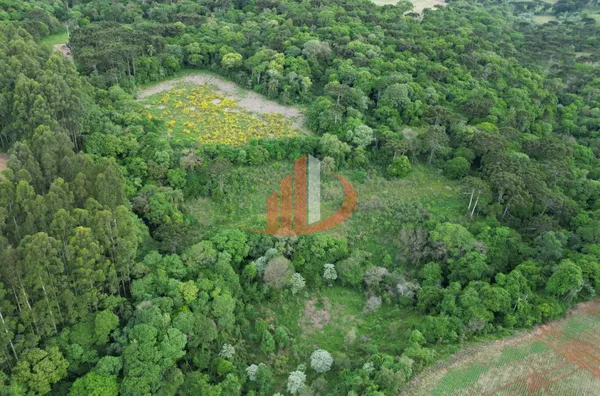 CHÁCARA COM 5 ALQUEIRES EM VITORINO/PR - Foto 10