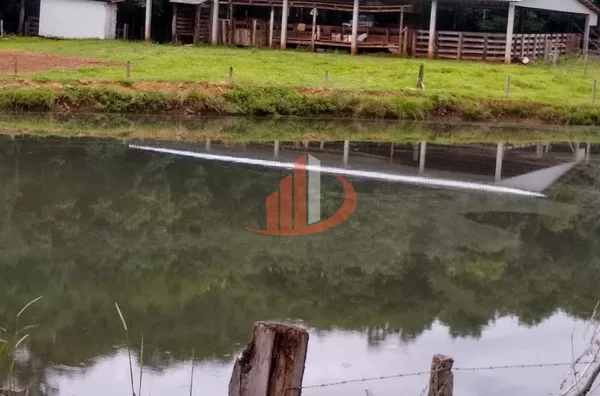 FAZENDA COM 24 ALQUEIRES EM PATO BRANCO/PR - Foto 3