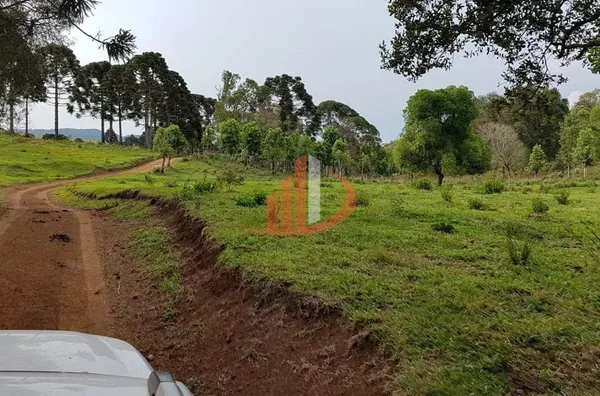 FAZENDA COM 203,5 ALQUEIRES À VENDA NO SUDOESTE DO PARANÁ. - Foto 5