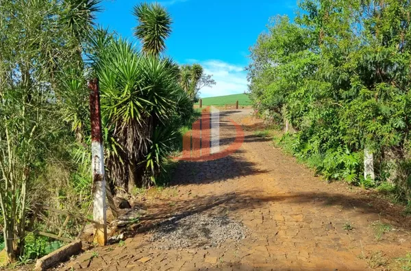 CHÁCARA COM 20 MIL m² Á VENDA EM PATO BRANCO/PR - Foto 8