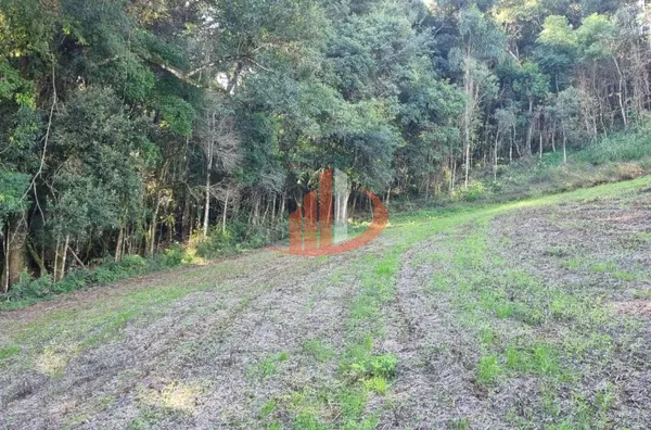 CHACARA PARA VENDA EM PATO BRANCO - Foto 16