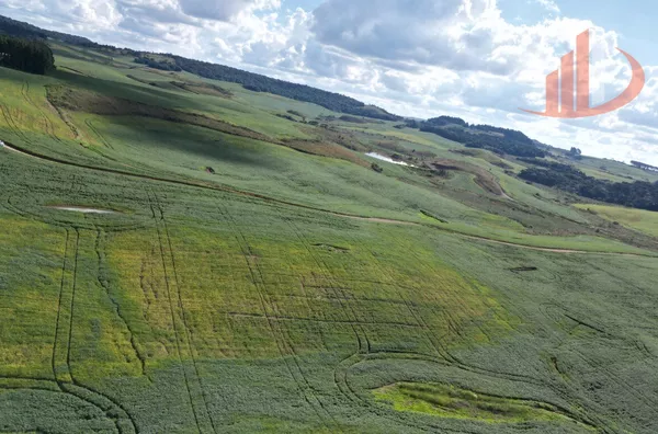 ARRENDAMENTO AGRÍCOLA DE ATÉ 200 ALQUEIRES NO SUDOESTE DO PARANÁ!