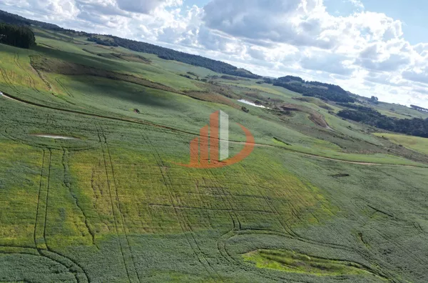 ARRENDAMENTO AGRÍCOLA DE ATÉ 200 ALQUEIRES NO SUDOESTE DO PARANÁ!