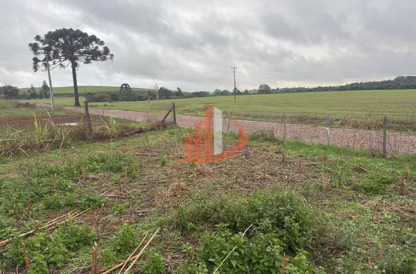CHÁCARA COM 3000m² EM MARIÓPOLIS/PR - Foto 10