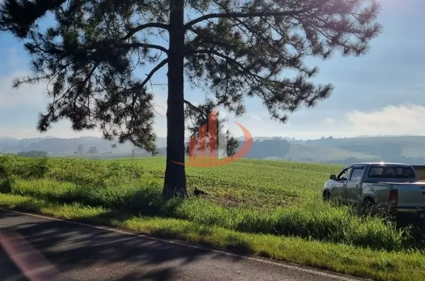 FAZENDA PRA VENDA NO SUDOESTE DO PARANÁ - Foto 5