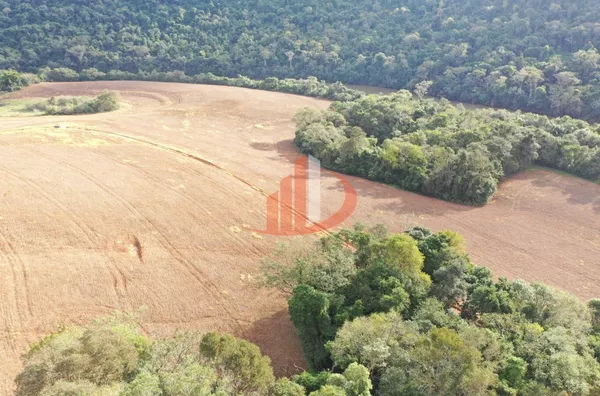 FAZENDA PRÓXIMA A PATO BRANCO PARA VENDA - Foto 16