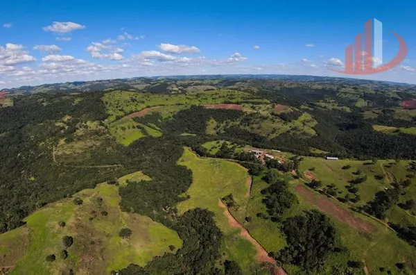 FAZENDO 200 ALQUEIRES NO PARÁ