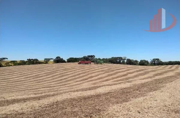 FAZENDA EM PALMAS NO PARANÁ