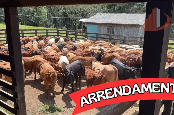 ARRENDAMENTO DE FAZENDA COM 323 ALQUEIRES EM SANTA CATARINA