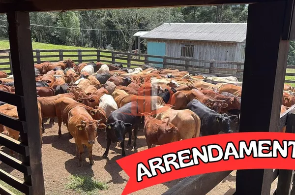 ARRENDAMENTO DE FAZENDA COM 323 ALQUEIRES EM SANTA CATARINA - Foto 1