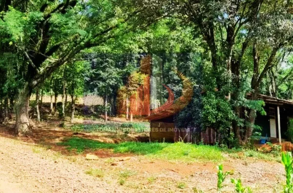 VENDE-SE CHÁCARA NA COMUNIDADE SÃO JOÃO BATISTA EM PATO BRANCO - Foto 4