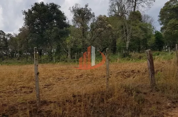 FAZENDA COM 203,5 ALQUEIRES À VENDA NO SUDOESTE DO PARANÁ. - Foto 16