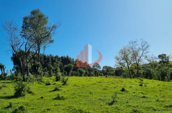 CHÁCARA COM 5 HECTARES PRÓXIMO A PATO BRANCO - Foto 22