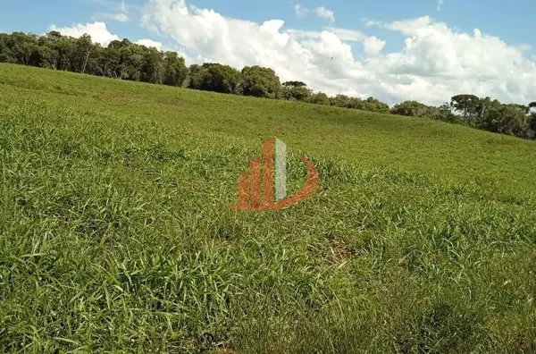 ARRENDAMENTO DE FAZENDA COM 323 ALQUEIRES EM SANTA CATARINA - Foto 7