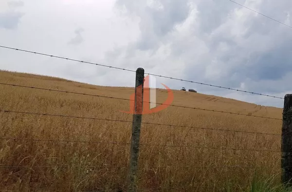 FAZENDA COM 203,5 ALQUEIRES À VENDA NO SUDOESTE DO PARANÁ. - Foto 10