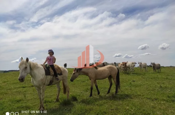 Fazenda para Venda em Campo Erê / SC no bairro Zona Rural - Foto 11