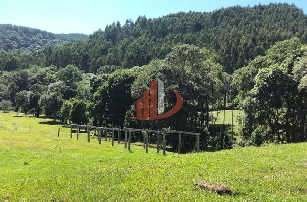FAZENDA COM 33 ALQUEIRES NO INTERIOR DO PARANÁ - Foto 25