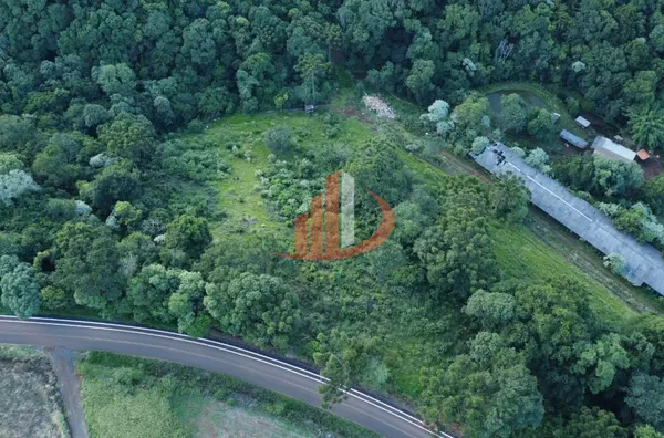 CHÁCARA COM 20.000m² HÁ APENAS 5KM DE PATO BRANCO/PR - Foto 7