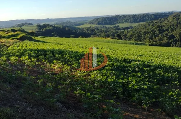 ÁREA DE TERRA COM 27 ALQUEIRES PARA INVESTIDORES OU EMPREENDIMENTOS - Foto 5