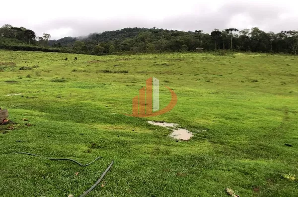 FAZENDA COM 205 HECTARES, REGIÃO DO HORIZONTE, SUDOESTE DO PARANÁ - Foto 10