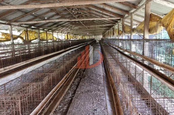 CHÁCARA COM 20 MIL m² Á VENDA EM PATO BRANCO/PR - Foto 41