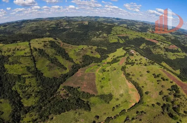 FAZENDO 200 ALQUEIRES NO PARÁ