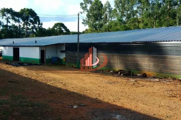 Aviário para venda, - Selecione - Bairro, Pato Branco - Foto 6