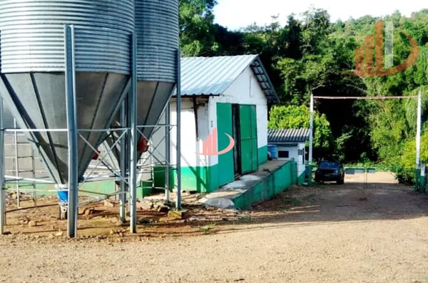Aviário para venda,  - Selecione - Bairro, Pato Branco