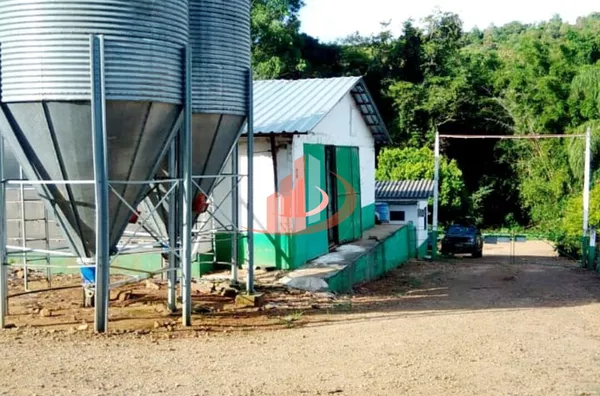 Aviário para venda, - Selecione - Bairro, Pato Branco - Foto 3