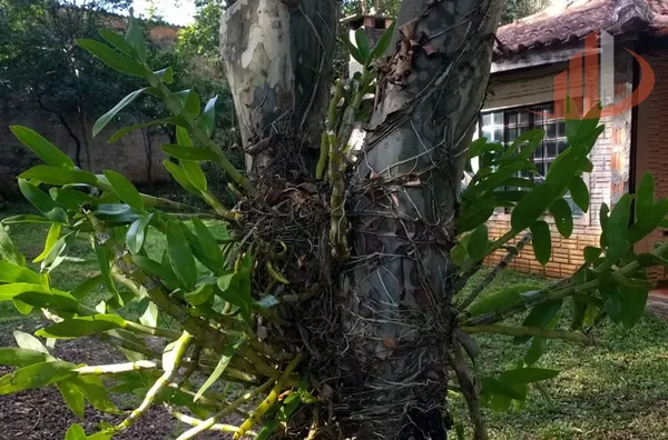 TERRENO COM 810m² EM ÁGUA DE SÃO FRANCISCO