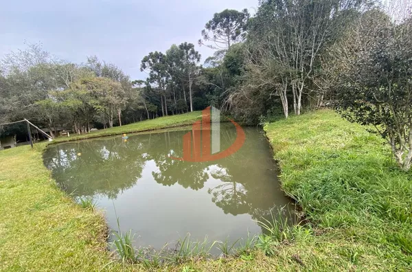 CHÁCARA COM 13.000m² À VENDA EM PATO BRANCO/PR