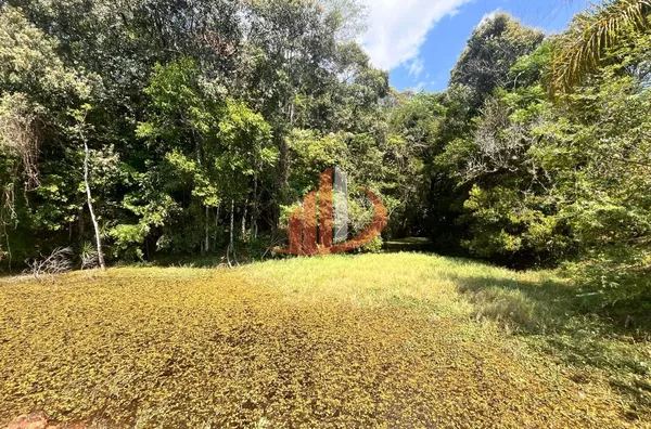 CHÁCARA COM 2,5 ALQUEIRES À VENDA EM VITORINO/PR - Foto 25