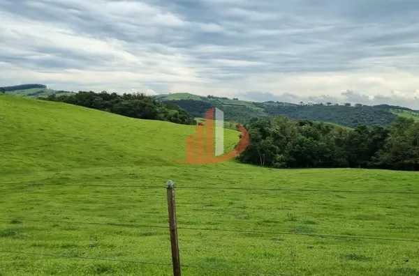 FAZENDA COM DUPLA APTIDÃO, 210 ALQUEIRES, REGIÃO CENTRO SUL DO PARANÁ - Foto 15