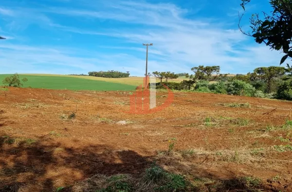 CHÁCARA COM 20 MIL m² Á VENDA EM PATO BRANCO/PR - Foto 15