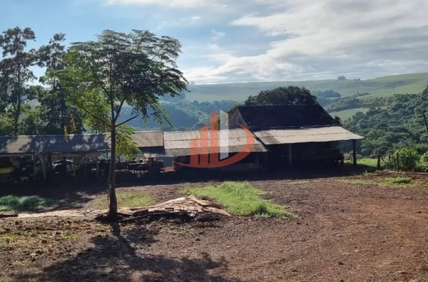 FAZENDA PRA VENDA NO SUDOESTE DO PARANÁ - Foto 8