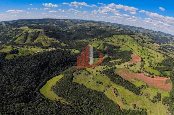 FAZENDA COM 200 ALQUEIRES - Foto 10