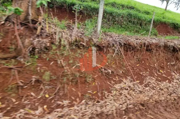 FAZENDA COM DUPLA APTIDÃO, 210 ALQUEIRES, REGIÃO CENTRO SUL DO PARANÁ - Foto 9