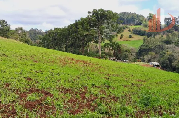 Imóveis rurais para venda,  área Rural De Pato Branco, Pato Branco