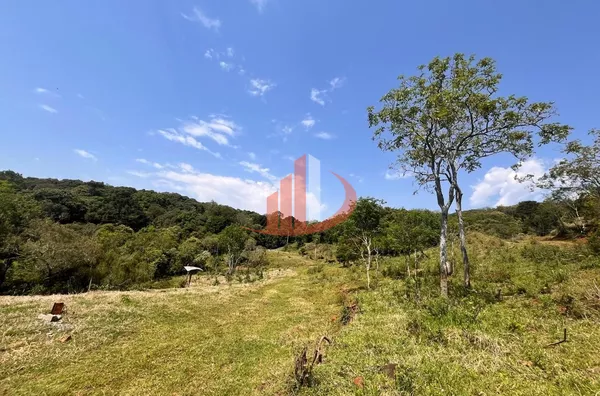 CHÁCARA COM 2,5 ALQUEIRES À VENDA EM VITORINO/PR - Foto 6