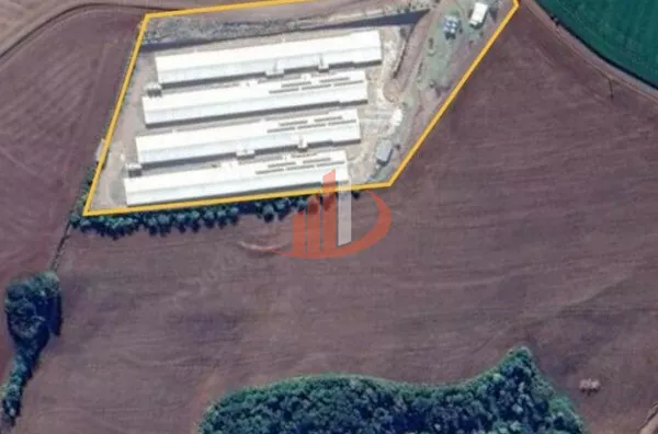 AVIÁRIOS PARA VENDA NA REGIÃO SUDOESTE DO PARANÁ 