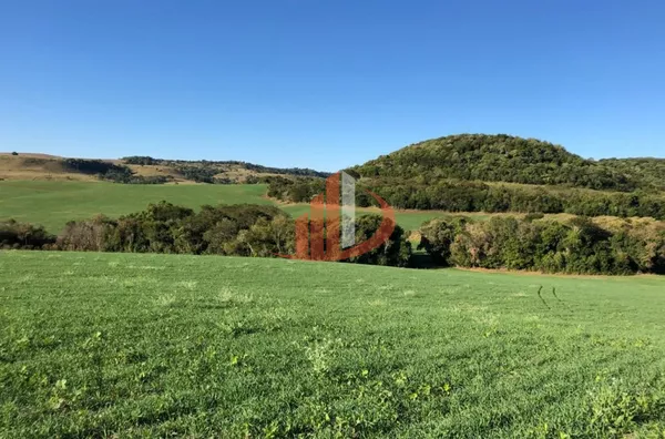 FAZENDA 211,19 ALQUEIRES EM LARANJEIRAS DO SUL/PR - Foto 9