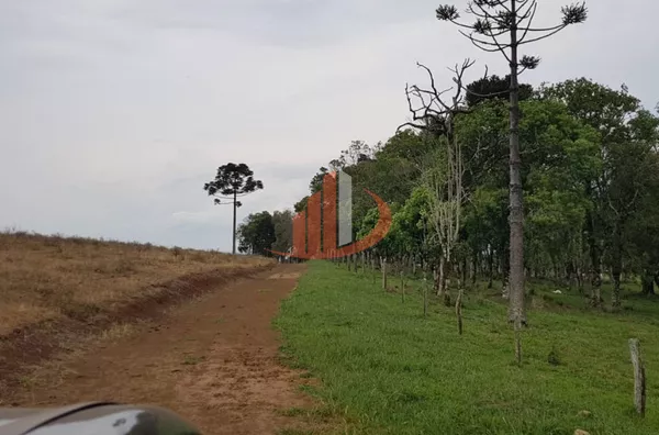FAZENDA 200 ALQUEIRES REGIÃO SUDOESTE DO PARANÁ - Foto 32