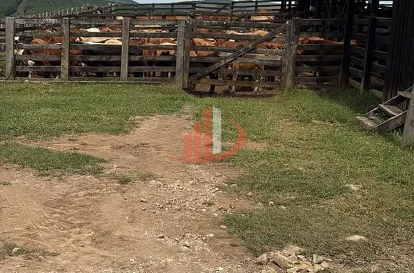 ARRENDAMENTO DE FAZENDA COM 323 ALQUEIRES EM SANTA CATARINA - Foto 2