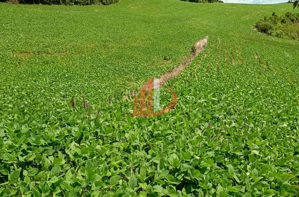 FAZENDINHA A VENDA PRÓXIMA A PATO BRANCO/PR - Foto 2