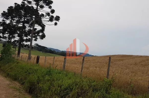 FAZENDA 200 ALQUEIRES REGIÃO SUDOESTE DO PARANÁ - Foto 43