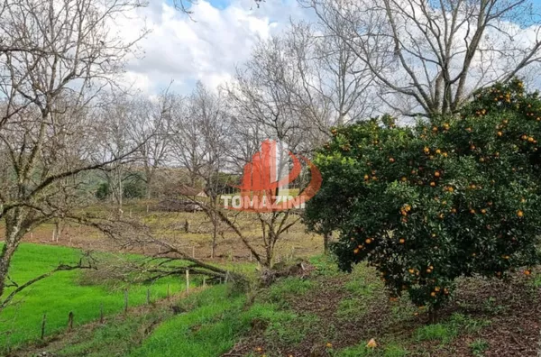[fazenda] para venda, - Selecione - Bairro, Vitorino - Foto 3